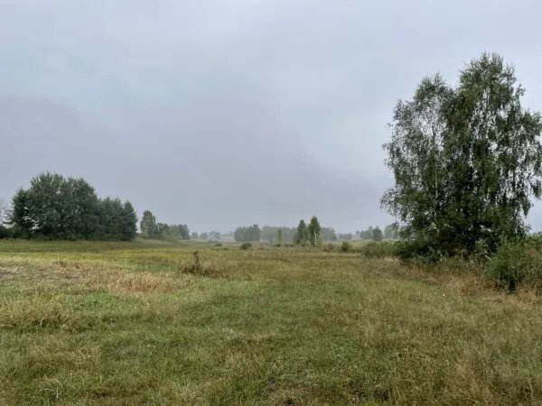 Milwicz architekci - projekty indywidualne - field house - wnętrza - działka