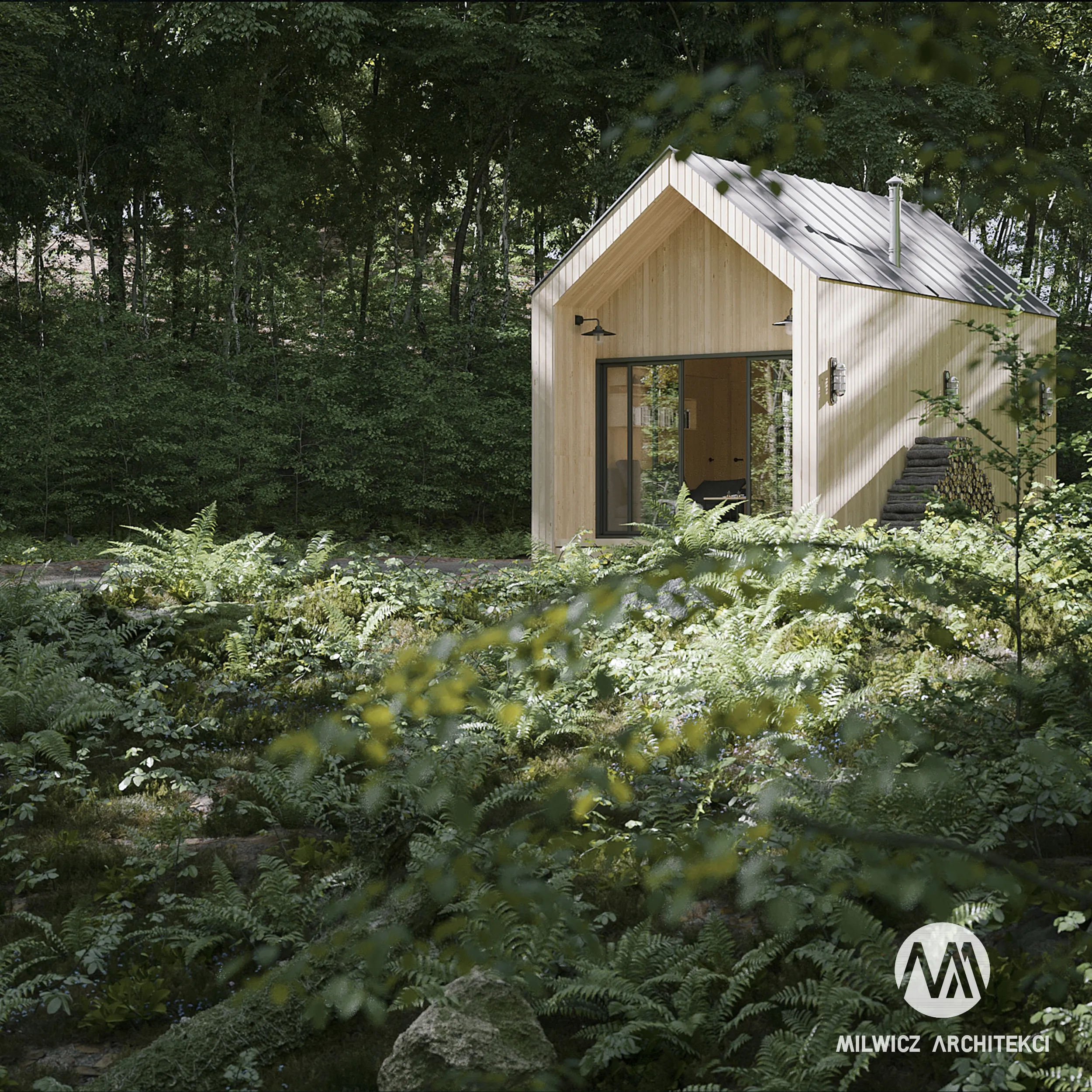 Milwicz architekci - projekt domu D16 - zewnątrz w ciągu dnia